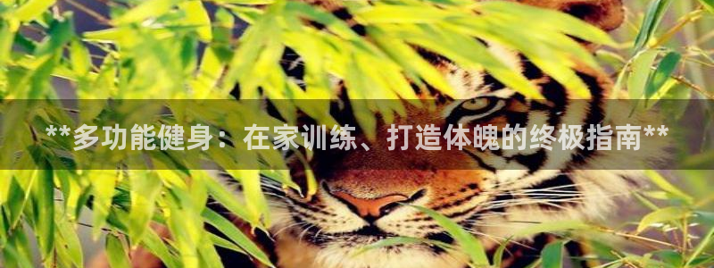 龙8国际官网-点此进入